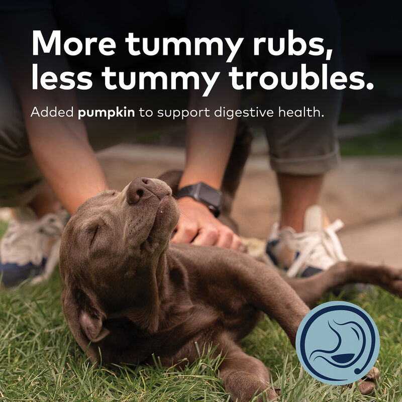 ZIWI, Peak Steam & Dried Beef with Pumpkin Dog Food image number null